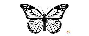 On each side of the body draw two large triangles with rounded sides and edges for the wings that attach to the body. How To Draw A Butterfly Step By Step For Kids Beginners