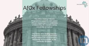 Africa Oxford Initiative Visiting Fellowship 2020 2020 Oxford Oxford University Visiting