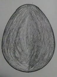 Now draw an egg shaped body. Drawing An Egg With A Compass 8 Steps Instructables