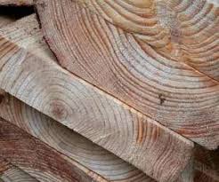 We did not find results for: Douglas Fir Vs Pine