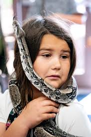 2024 Year in Review and Photos of the Year