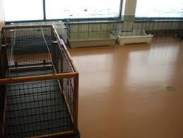 Maybe you would like to learn more about one of these? Healthy Pet Veterinary Clinic Madison Wi 53704 Pet Boarding