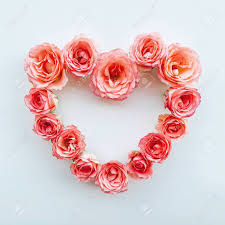 Check spelling or type a new query. Heart Frame Of Fresh Pink Roses In Full Bloom On White Background Stock Photo Picture And Royalty Free Image Image 144829318