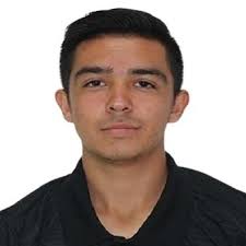 Estadísticas Andrés Becerra, Tigres de Álica