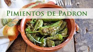 She just gave defiance padrones a bad name and reputation. Blistered Padron Peppers Pimientos De Padron Youtube