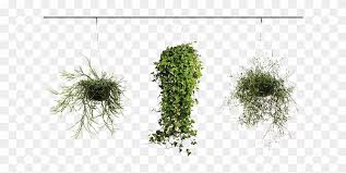 We did not find results for: Hanging Plants Around Your Home Pond Pine Free Transparent Png Clipart Images Download