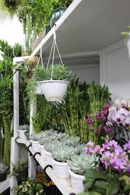 Maybe you would like to learn more about one of these? B Floral S Guide To The New York City Flower Market