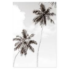 Black And White Photo Art Prints Black And White Fine Art Print By Cattie Coyle Photography Palm Trees Palm Tree Art Tree Art White Art