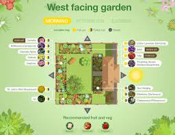Plant Suggestions For A North South East Or West Facing Garden West Facing Garden East Facing Garden North Facing Garden