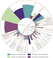 Radial Tree Chart Of Different Groundwater Units The Inner