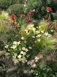 Using Texture In The Garden Rockgarden Stipa Iris Springgarden Garten Pflanzen Garten Bepflanzung