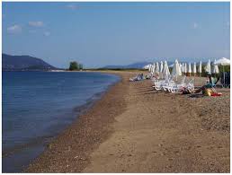 We did not find results for: Paralies Sthn Boreia Eyboia Infomust Gr