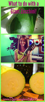 Now is the time of the zucchini. What Should I Do With A Giant Zucchini With Zucchini Bread Recipe Running In A Skirt