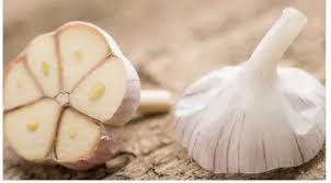 Selain jadi bumbu masak, bawang putih banyak dimanfaatkan sebagai obat herbal. Khasiat Menakjubkan Dari Bawang Putih Untuk Kecantikan Beauty Fimela Com