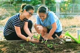 Check spelling or type a new query. Can Gardening Count As Exercise Henry Ford Livewell