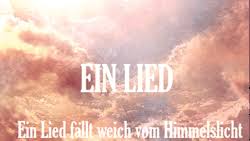 Liedtext Tumblr