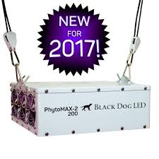 Phytomax 2 600 led grow lights. Black Dog Led Phytomax 2 600 Pflanzenlampe Full Spectrum Led Grow Light Kuche Haushalt Wohnen Pflanzenlichter Circusedu Com Ar