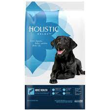 Holistic Select Natural Dry Dog Food Anchovy Sardine And Salmon Click Image To Review More Details As An A Dog Food Recipes Holistic Select Free Dog Food