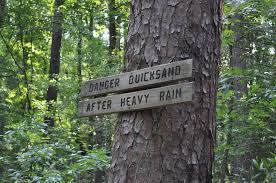 Hitchcock Woods In Aiken Sc So Like Life Urban Forest Favorite Places Aiken