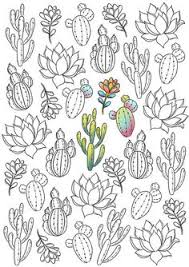 Select print at the top of the page, and the advertising and navigation at the top of the page will be ignored, or 2) click on the image in the bottom half of the screen to make that frame. 900 Cactus Drawings Ideas Cactus Drawings Cactus Art