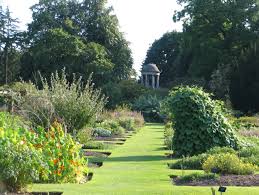 Botanic garden might be closed, we are sharing our garden with you online! Botanic Gardens Herbaria Arboreta Botanical Art Artists