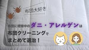 ダニ10万匹の衝撃 布団のアレルゲン対策に布団クリーニングが有効な理由 布団乾燥機や掃除機では不十分 ねこが教える布団クリーニング