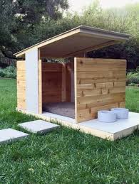 Top 60 Best Dog House Designs Zeitgenossisch Modern Pet Pads Top 60 Der Besten Hundehutte Designs Zeitgenossisch Modern Pet P Kopek Kulubeleri Apartment Therapy Ve Kulubeler