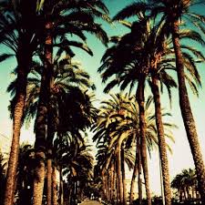 We did not find results for: 8tracks 1 Hot Mixes Kelly Park Compton Crips Internet Radio Stations Listen To The Best Free Music Playlists