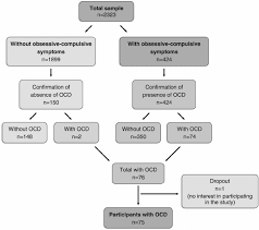 Flowchart Showing The Participation Of Subjects Throughout