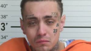 Man sentenced to 15 years in prison for multiple felonies committed in one  night