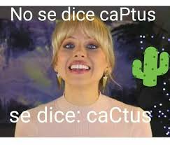 Por lo tanto, deben colocarse cerca de ventanas o cualquier otra como provienen de zonas desérticas, donde las noches pueden ser muy frías, muchos cactus tienen una resistencia moderada a las heladas. Cactus Pitaiu Cuando Preguntan Por Nuestros Bebes Facebook