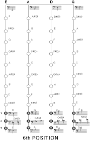 Technique Upright Bass Fingering Charts Faq Courtesy Of