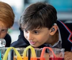 Brighton Grammar School Impact Report 2021 by Brighton Grammar School