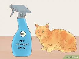 How to prevent matted cat hair contains substantial information on proper grooming for tangle prevention. How To Shave A Matted Cat 15 Steps With Pictures Wikihow Pet