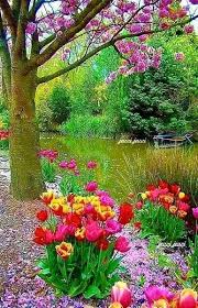 Nature Beautiful Landscapes Beautiful Nature Beautiful Gardens