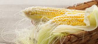 The discarded part of corn is a valuable medicine to cure liver and kidney diseases.