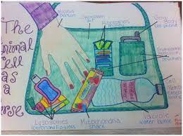 Plant and animal cell analogy project. Pin By Payt On School Animal Cell Project Cell Analogy Cell City Project