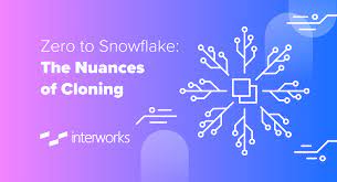 Zero To Snowflake The Nuances Of Cloning Interworks