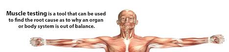 Maybe you would like to learn more about one of these? Muscle Testing Can Help With Numerous Health Issues An Oasis From The Darkness Of Pain Hope Instilled