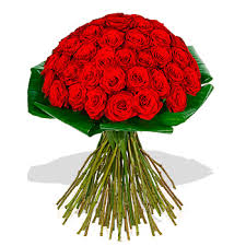 What will you do with roses? Rose Flower Meanings By Their Color Variety And Numbers