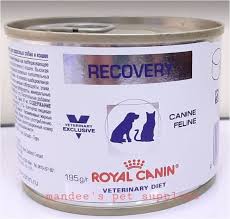 5.0 out of 5 stars 1 rating. Royal Canin Recovery 195g R Lazada Ph