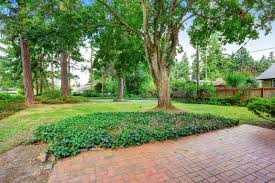 If you're lucky enough to have a backyard, you're really only limited by your own budget. 4 Pests Maybe Living In Your Backyard Trees Terminix