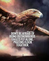 Pin On Success Quotes