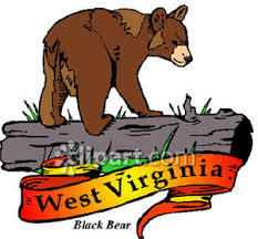 Mammals are the animal class that people belong to. State Animal Of West Virginia The Black Bear Royalty Free Clipart Picture