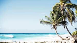 Barbados Holidays 2021 2022 Tui Co Uk