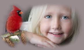 Don't look away, the cardinal will bring you a special blessing today.