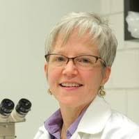 20+ "Pokrywka" profiles