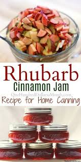 Canning 101 Rhubarb Cinnamon Jam Recipe Rhubarb Recipes Jam Recipes Jelly Recipes