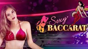 Sexy Baccarat - i8 Live