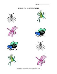 Insects Worksheets For Kindergarten Insect Worksheets For Kindergarten Bugs And Insects Theme In 2020 Insects Theme Kindergarten Bugs Kindergarten Worksheets